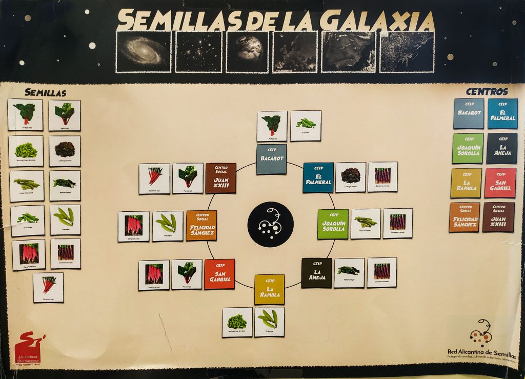 Protegiendo semillas, cultivando soberanía alimentaria